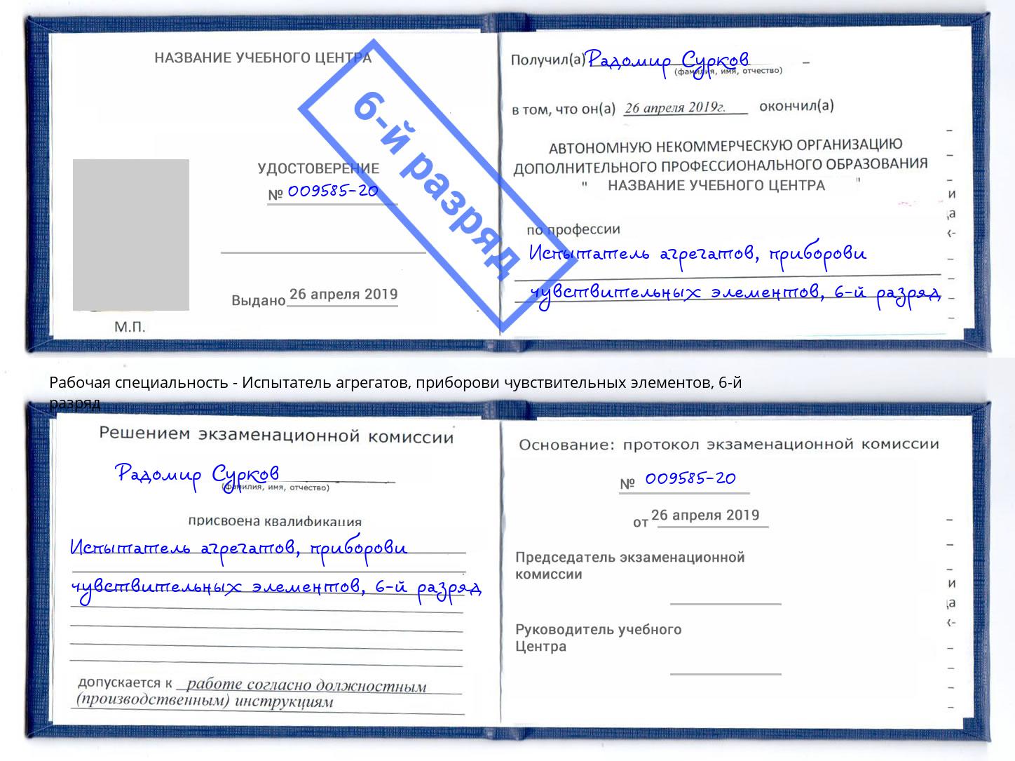корочка 6-й разряд Испытатель агрегатов, приборови чувствительных элементов Дербент