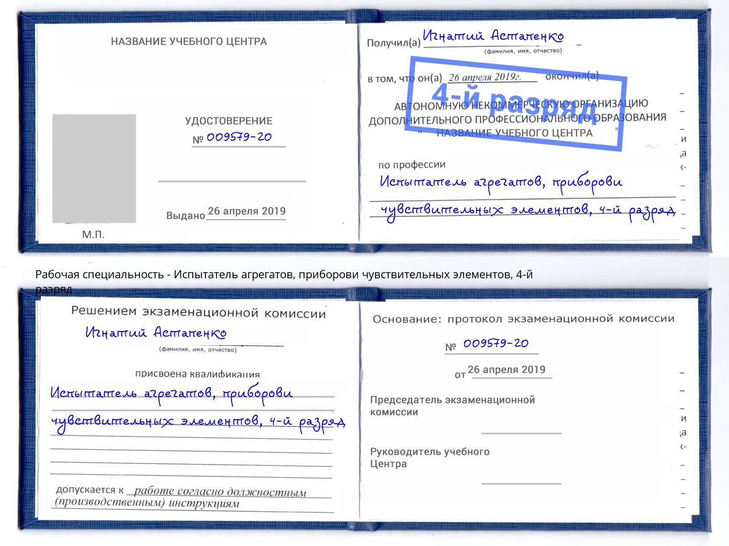 корочка 4-й разряд Испытатель агрегатов, приборови чувствительных элементов Дербент