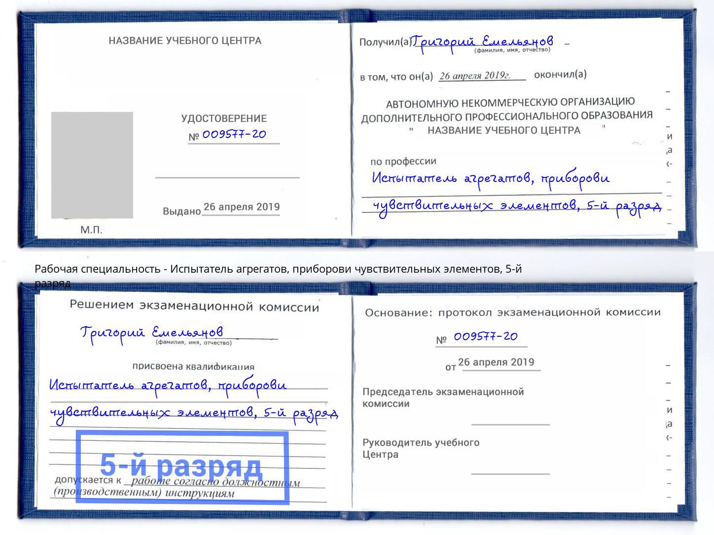 корочка 5-й разряд Испытатель агрегатов, приборови чувствительных элементов Дербент