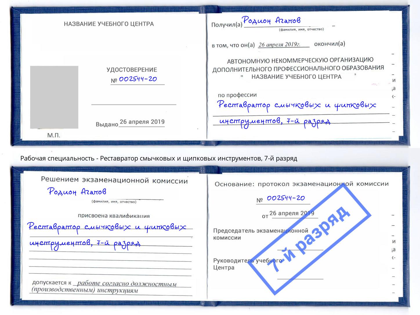 корочка 7-й разряд Реставратор смычковых и щипковых инструментов Дербент