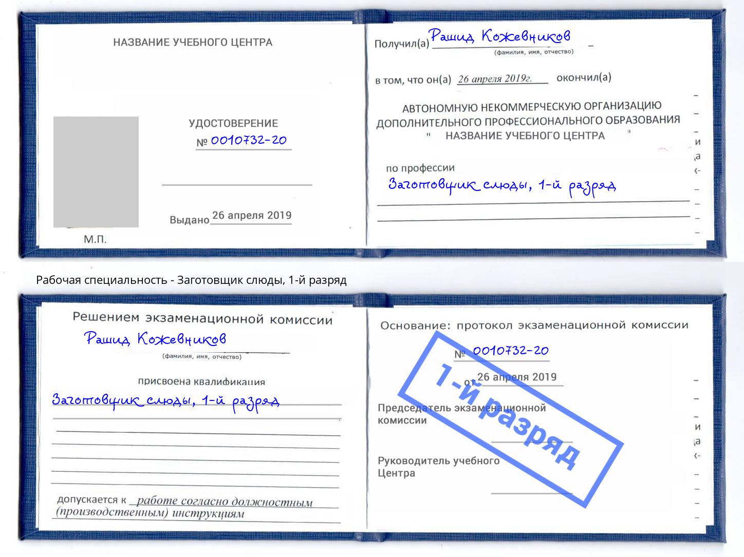 корочка 1-й разряд Заготовщик слюды Дербент
